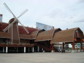 หลังชิงเกิ้ล