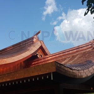 หลังคา,ทองแดง,หลังคาทองแดง,copper roof